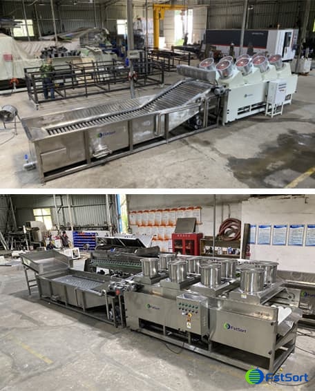 images/1655279485741Equipo de selección de tomates.jpg